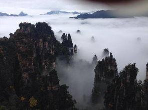 张家界导游爆料新闻视频,揭秘景区背后的真实故事