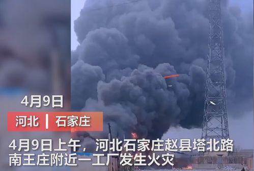 仁化媒体爆料事件视频最新,事件视频引发热议，真相究竟如何？